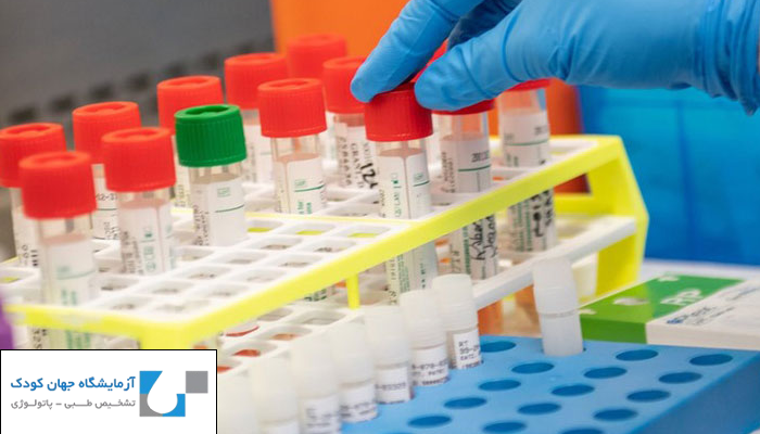 عملکرد هورمون