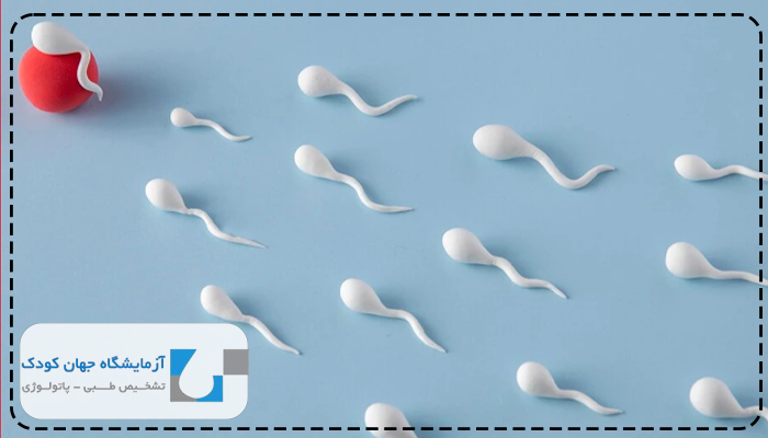 آزمایش اسپرموگرام