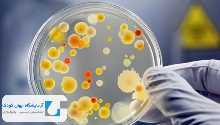 اهمیت میکروب شناسی
