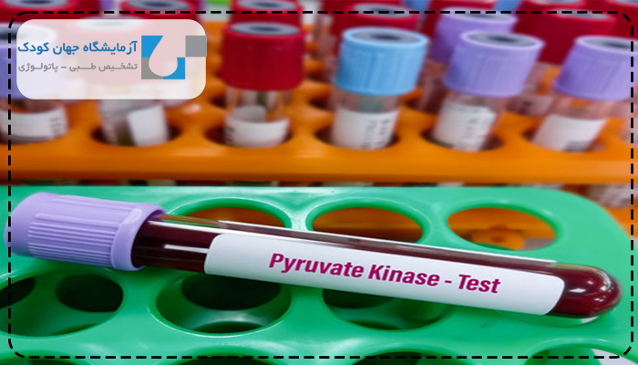 فرق پیروات و پیروویک اسید