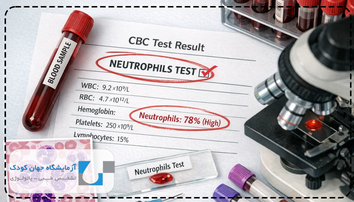 neutrophils بالا در آزمایش خون چیست